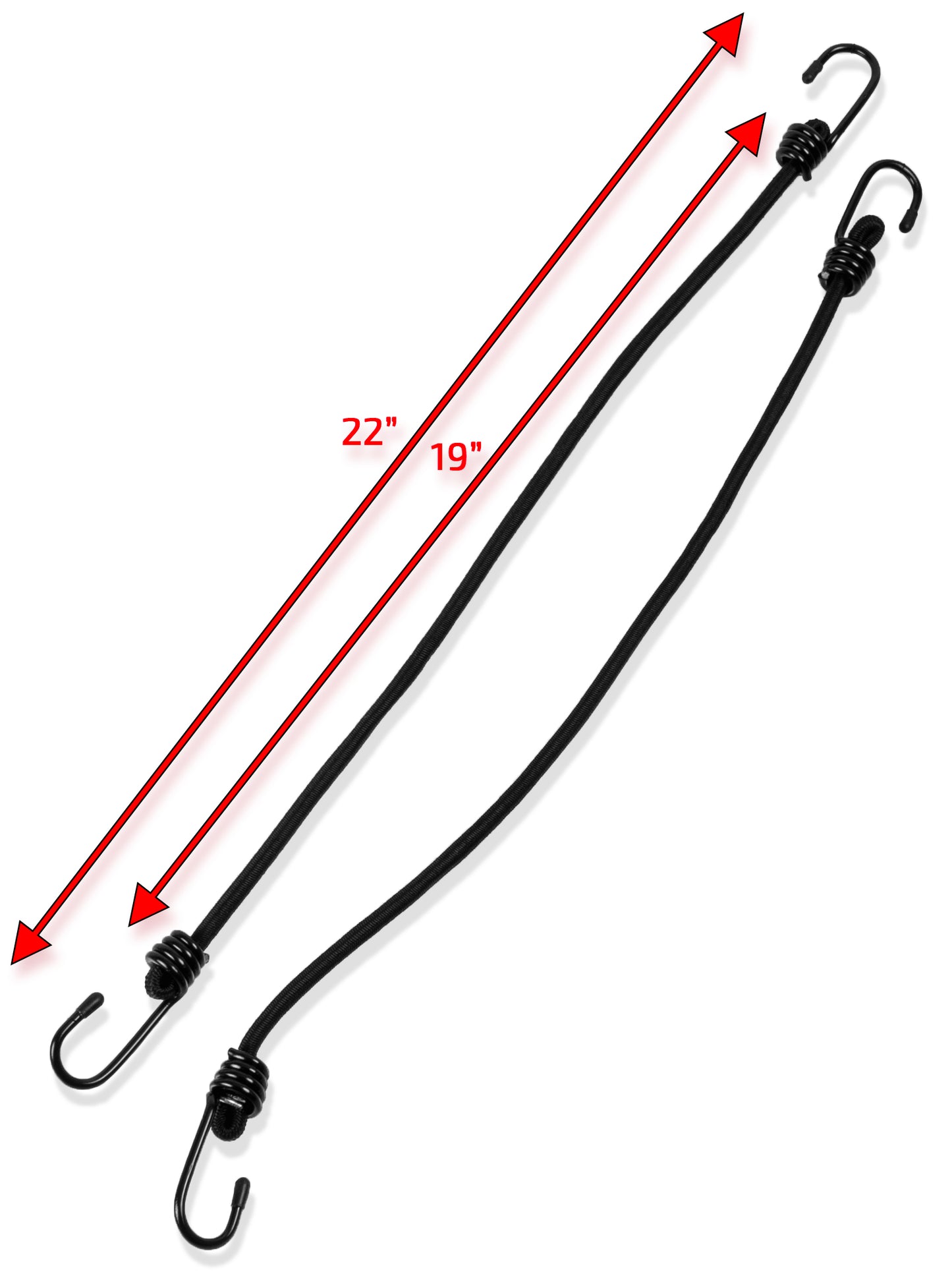 Bungee Mount Tail Trunk Bungee Cords