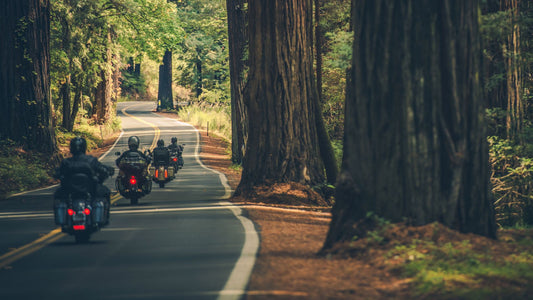 Top 10 Motorcycle Routes in the U.S. for Scenic Rides